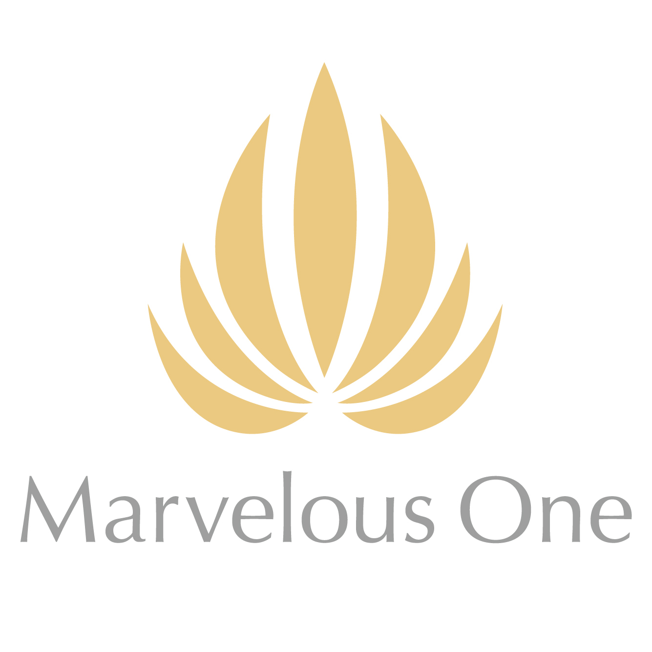 MarvelousOneロゴ